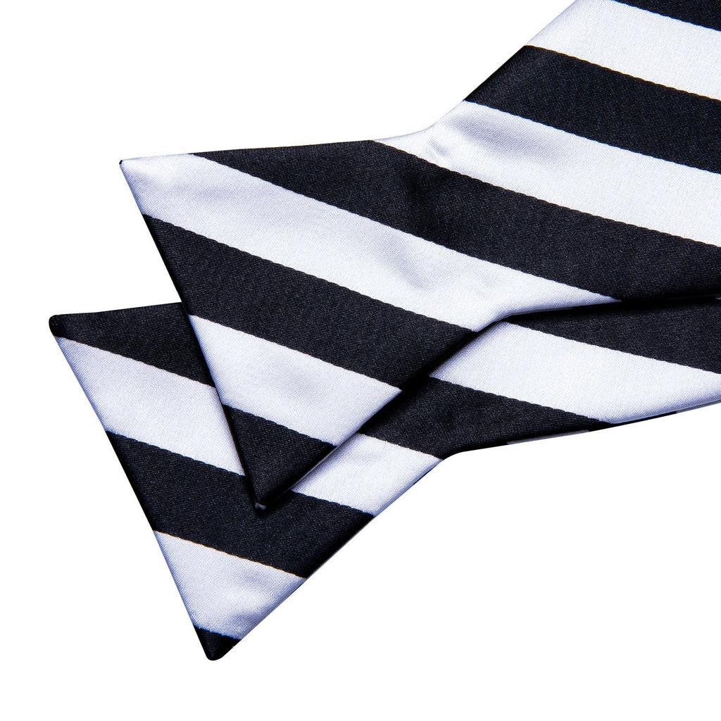 GentCrest Black Striped Bowtie Set - Image 3