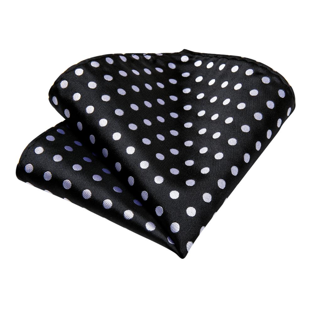Black & White Polka Dot Silk Tie Set - GentCrest - View 5