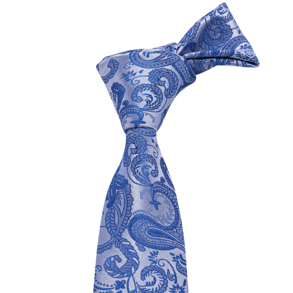 Blue Paisley Silk Tie Set - GentCrest - View 2