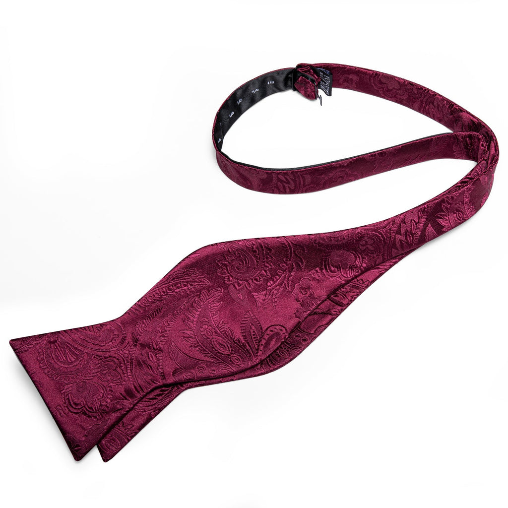 GentCrest Red Paisley Bowtie Set - Image 6