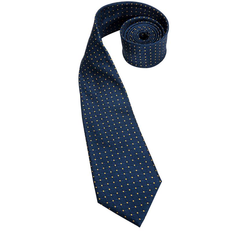 Navy & Gold Grid Pattern Silk Tie Set - GentCrest - View 4