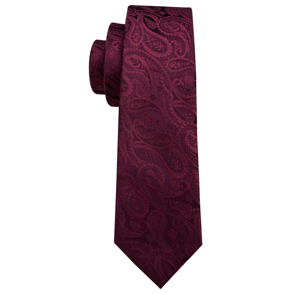 GentCrest Classic Paisley Tie Sets - Image 4