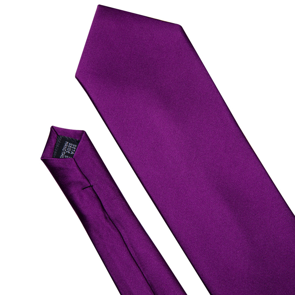 Purple Solid Silk Tie Set - GentCrest - View 6