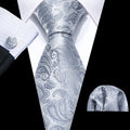 Silver Paisley Silk Tie Set - GentCrest