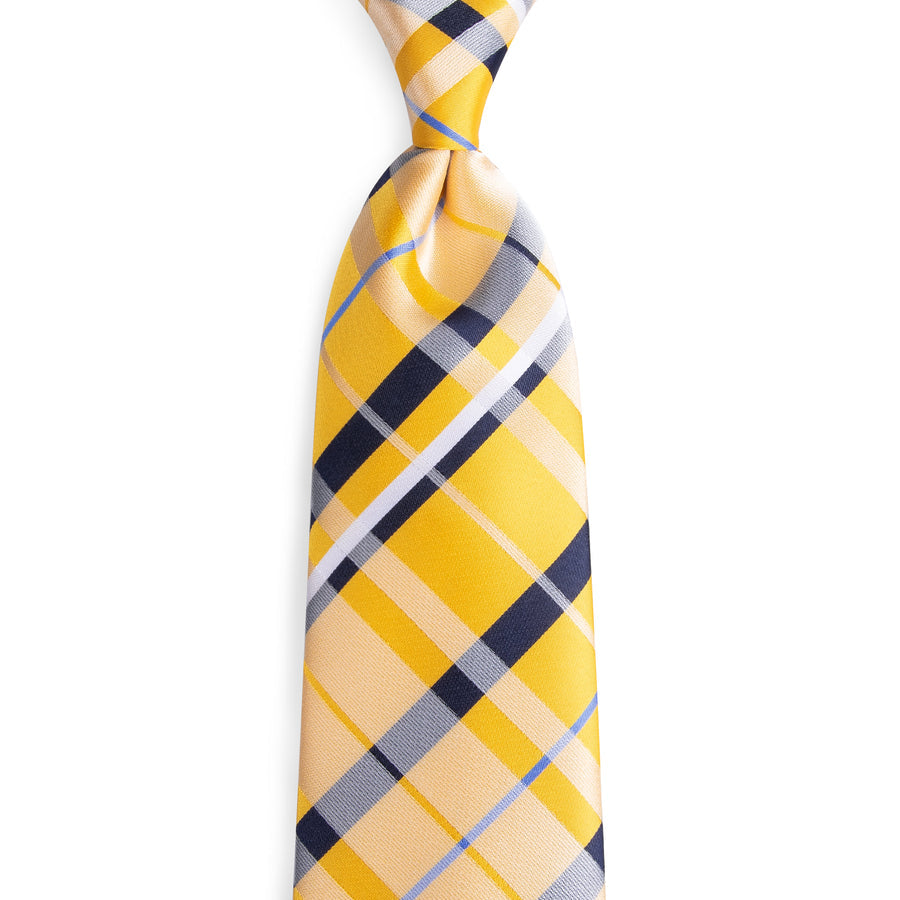 Yellow and Blue Striped Silk XL Silk Tie Set - GentCrest - View 3