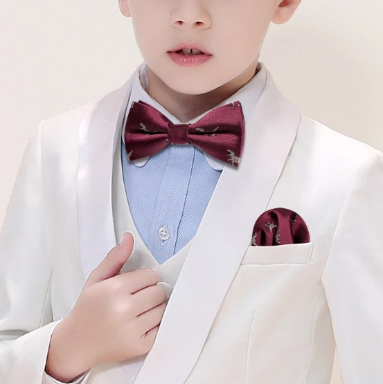 Children's Dinosaurs Bow Tie Set - GentCrest