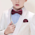 Children's Dinosaurs Bow Tie Set - GentCrest