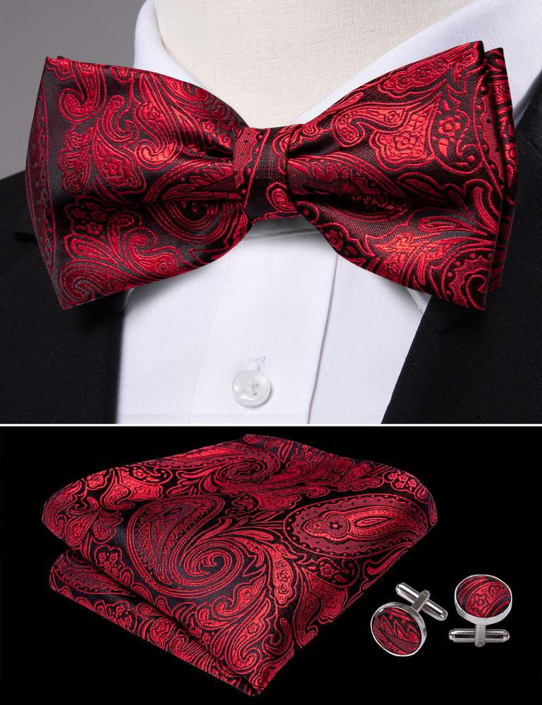 Burgundy Red Paisley Bow Tie Set - GentCrest - View 4