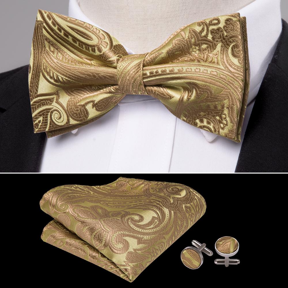 GentCrest Brown Paisley Bowtie Set - Image 2