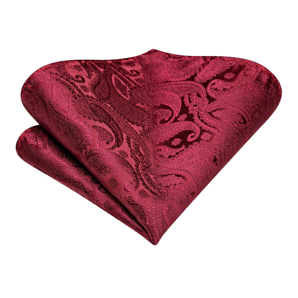 Fire Red Paisley 3-Piece Ascot Set - GentCrest - View 5