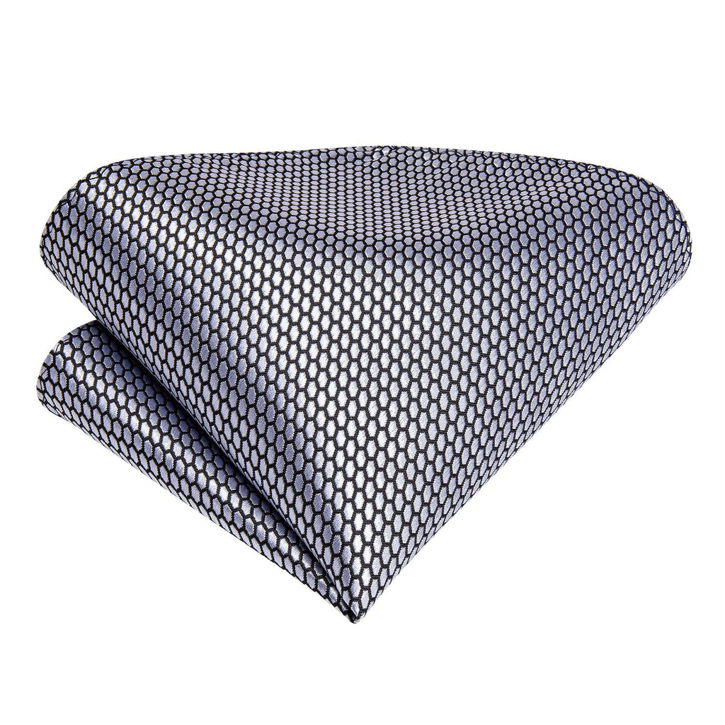 GentCrest Grey Solid Ascot - Image 6