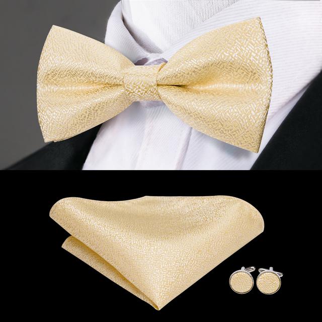 GentCrest Red Solid Bowtie Set - Image 1