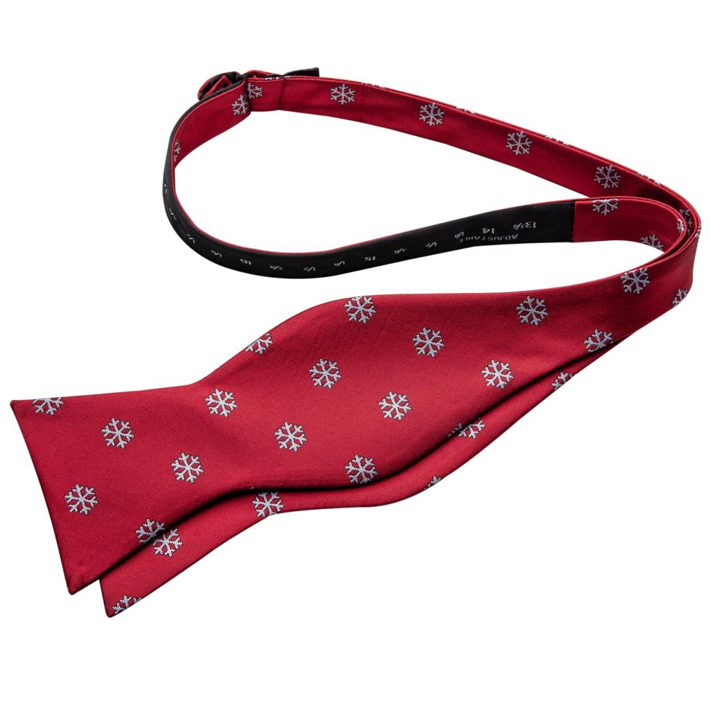 Snowflakes Bow Tie Set - GentCrest - View 3