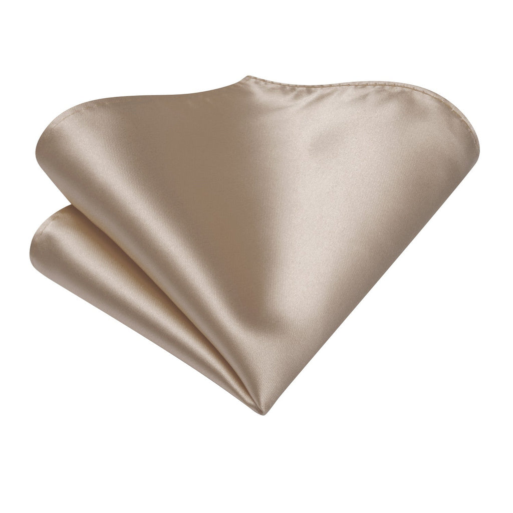 GentCrest Champagne Solid Ascot - Image 6