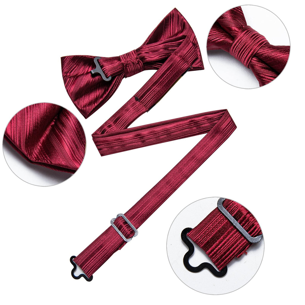 Red Sky Striped Bow Tie Set - GentCrest - View 3