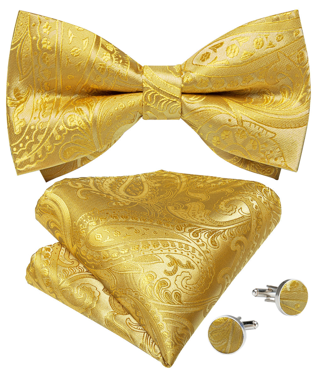 GentCrest Gold Paisley Bowtie Set - Image 2