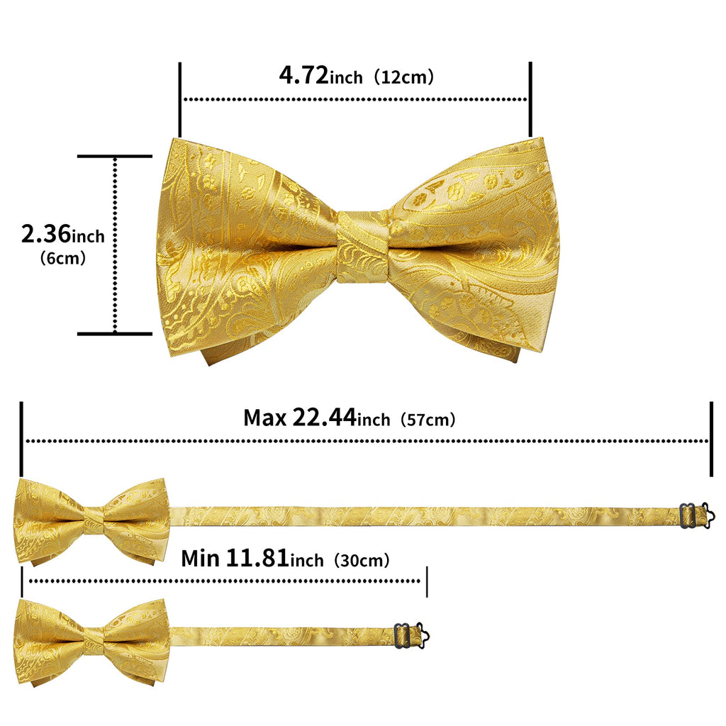 GentCrest Gold Paisley Bowtie Set - Image 6