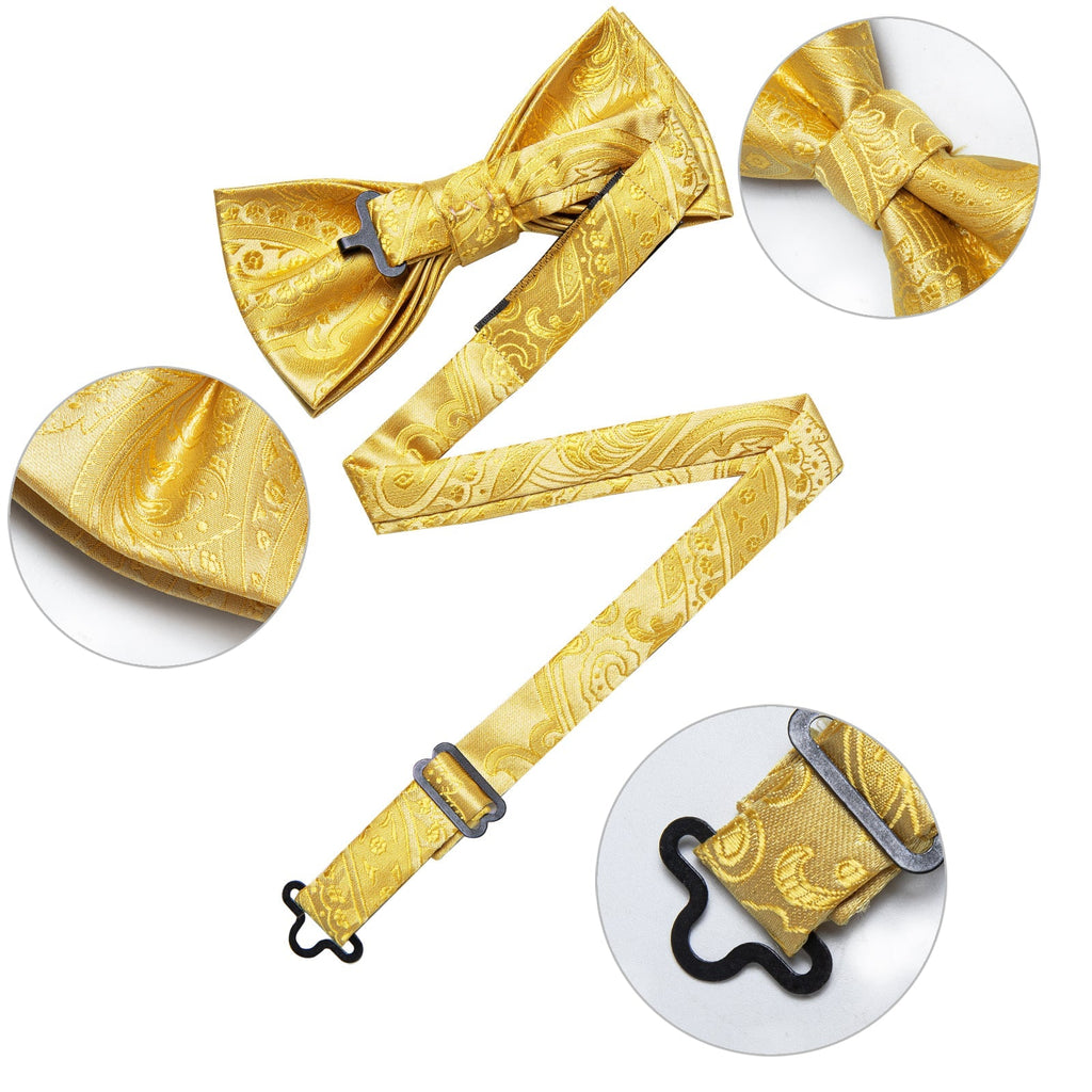GentCrest Gold Paisley Bowtie Set - Image 5
