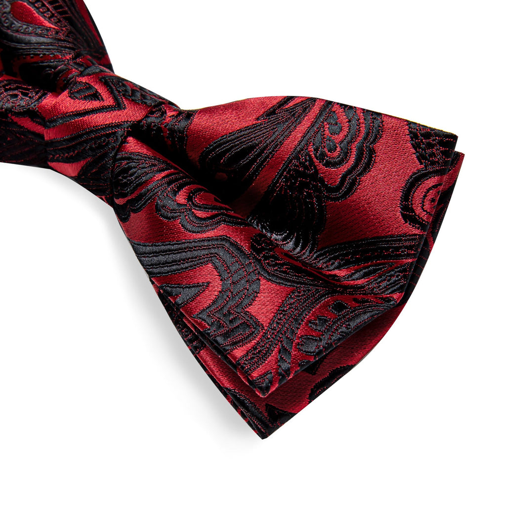 GentCrest Black Paisley Bowtie Set - Image 9