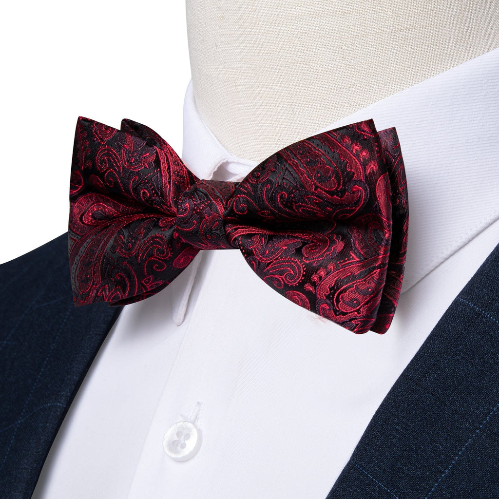 GentCrest Red Paisley Bowtie Set - Image 3