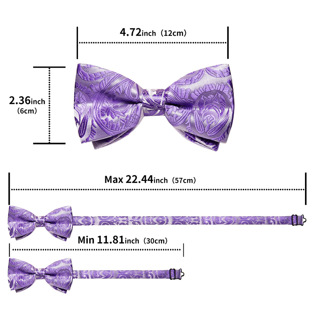 GentCrest Blue Paisley Bowtie Set - Image 7