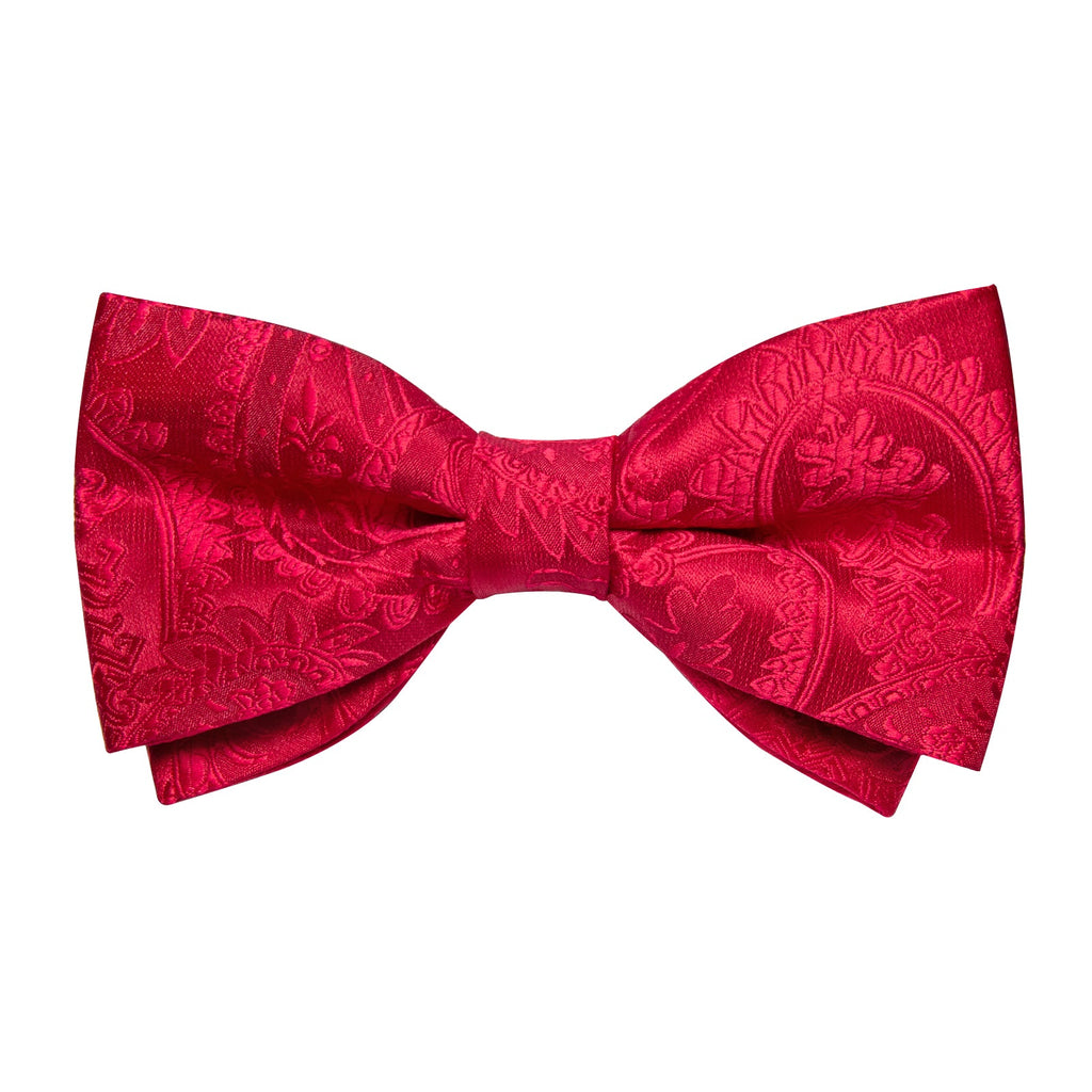 GentCrest Red Paisley Vest Set - Image 4
