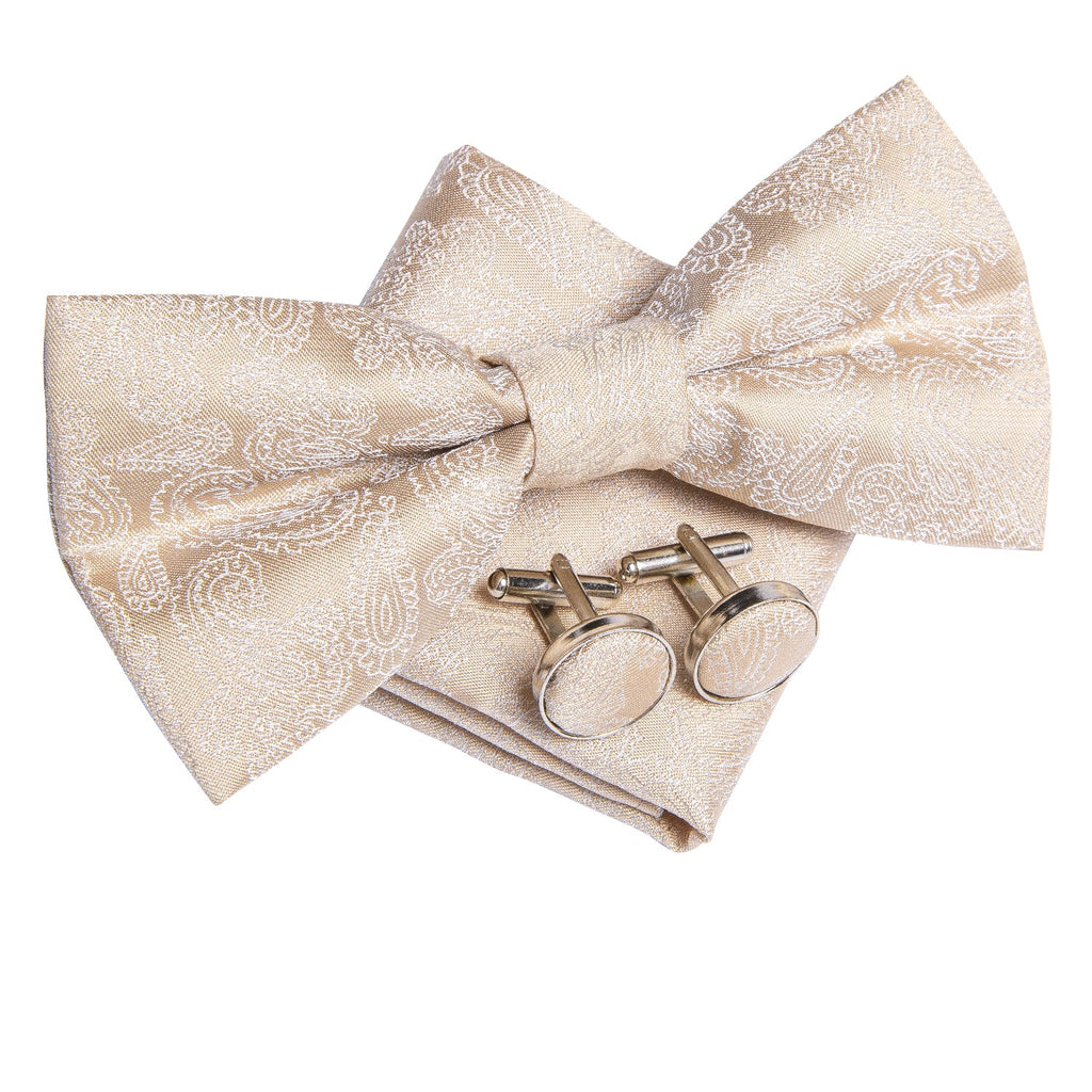 GentCrest Champagne Paisley Bowtie Set - Image 2