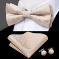 GentCrest Champagne Paisley Bowtie Set - Image 1