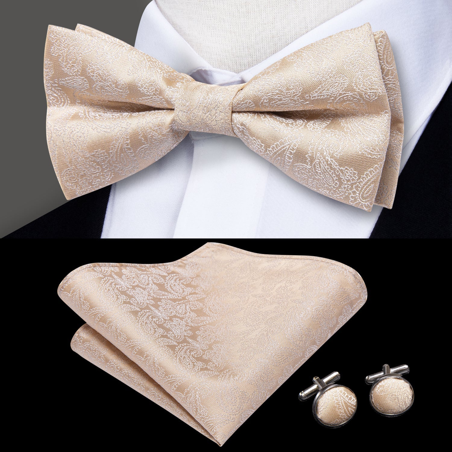 GentCrest Champagne Paisley Bowtie Set - Image 1
