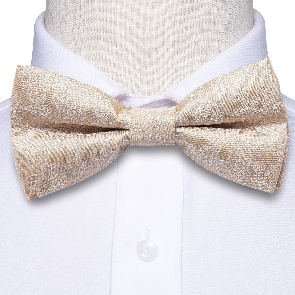 GentCrest Champagne Paisley Bowtie Set - Image 3