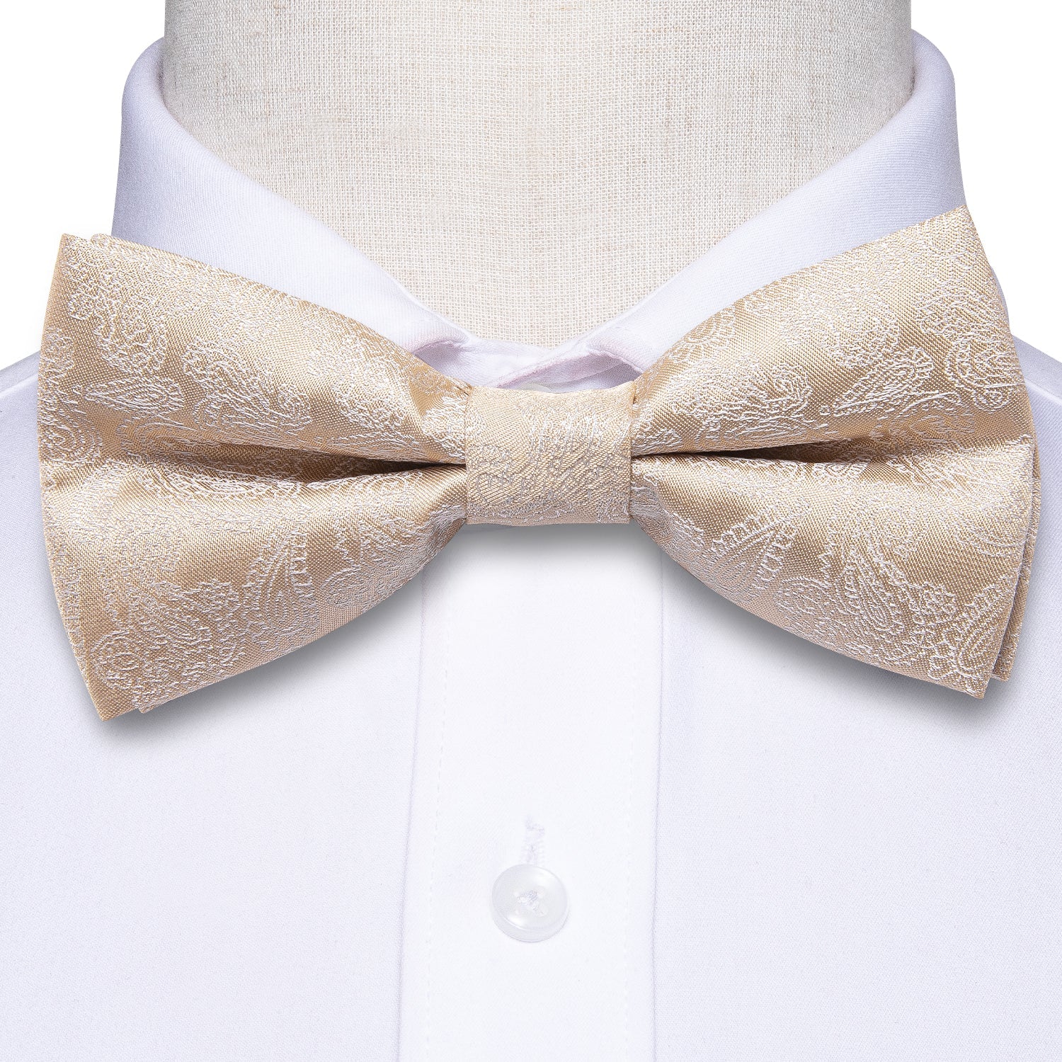 GentCrest Champagne Paisley Bowtie Set - Image 3