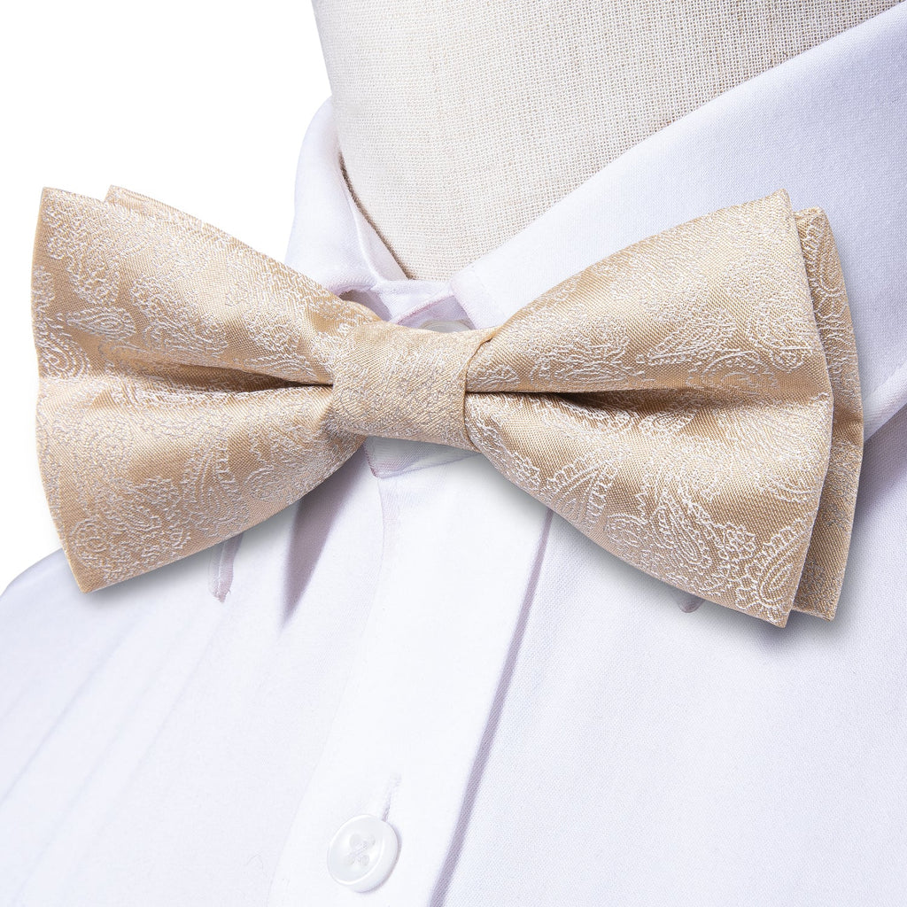 GentCrest Champagne Paisley Bowtie Set - Image 4