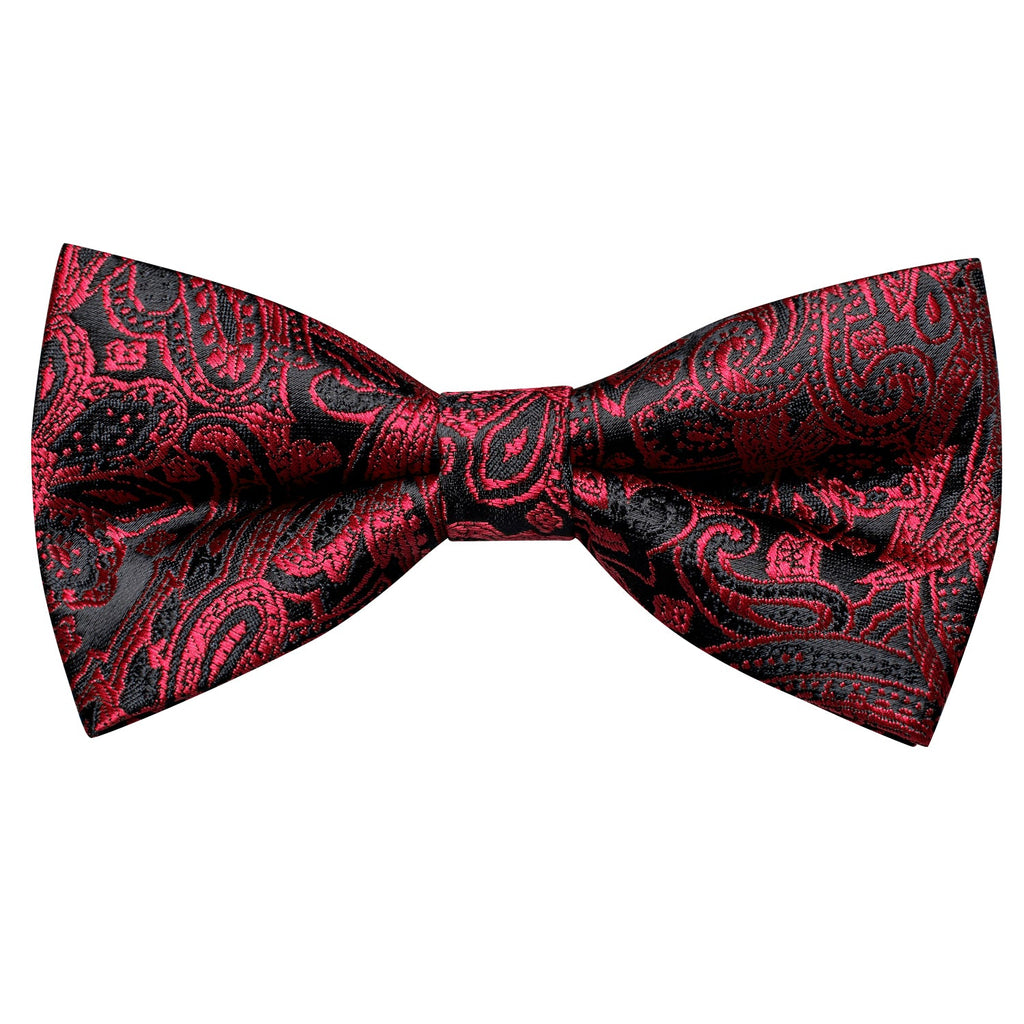 GentCrest Black Paisley Bowtie Set - Image 5