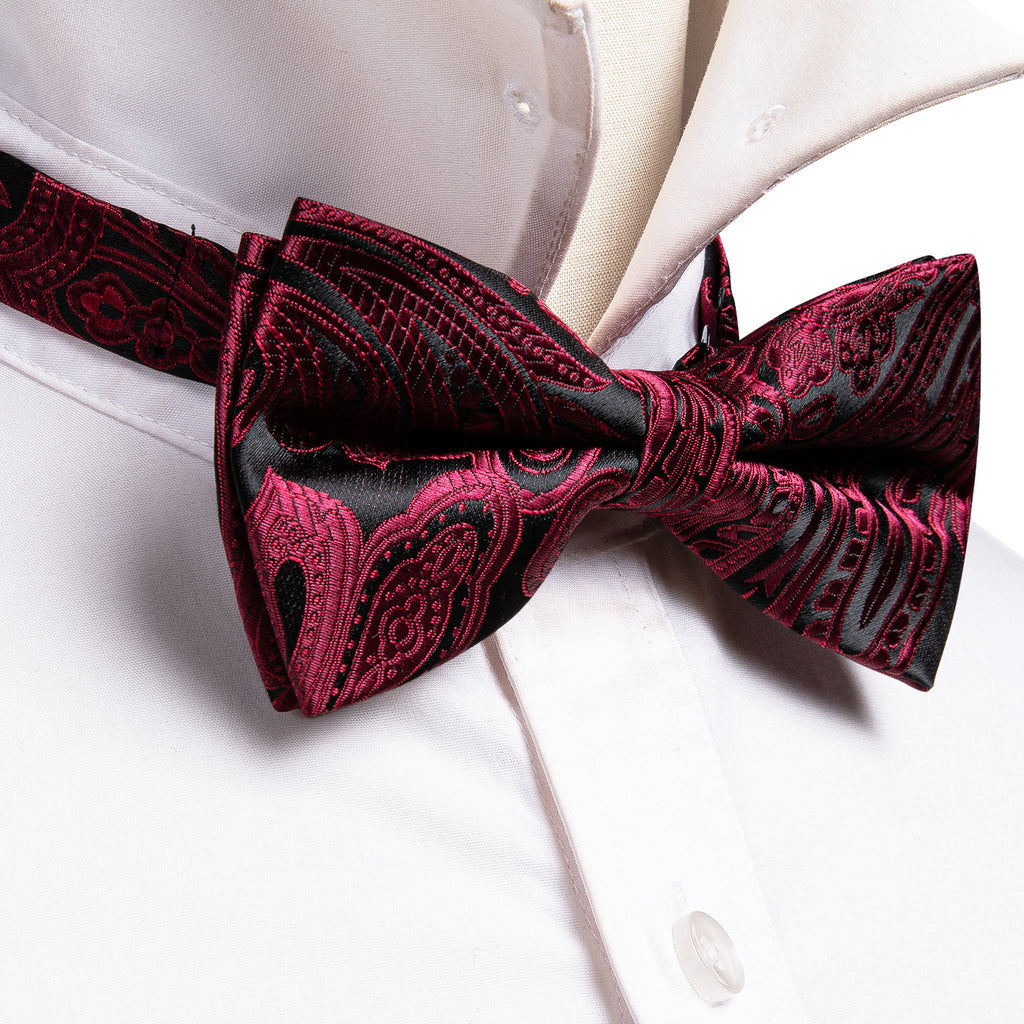 Red Black Paisley Bow Tie Set - GentCrest - View 5