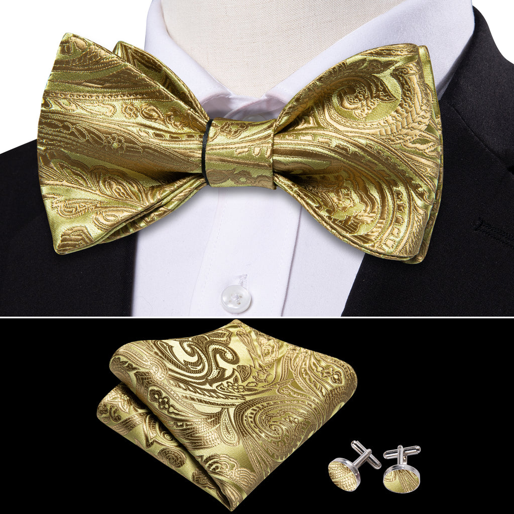 Gold Paisley Bow Tie Set - GentCrest - View 2