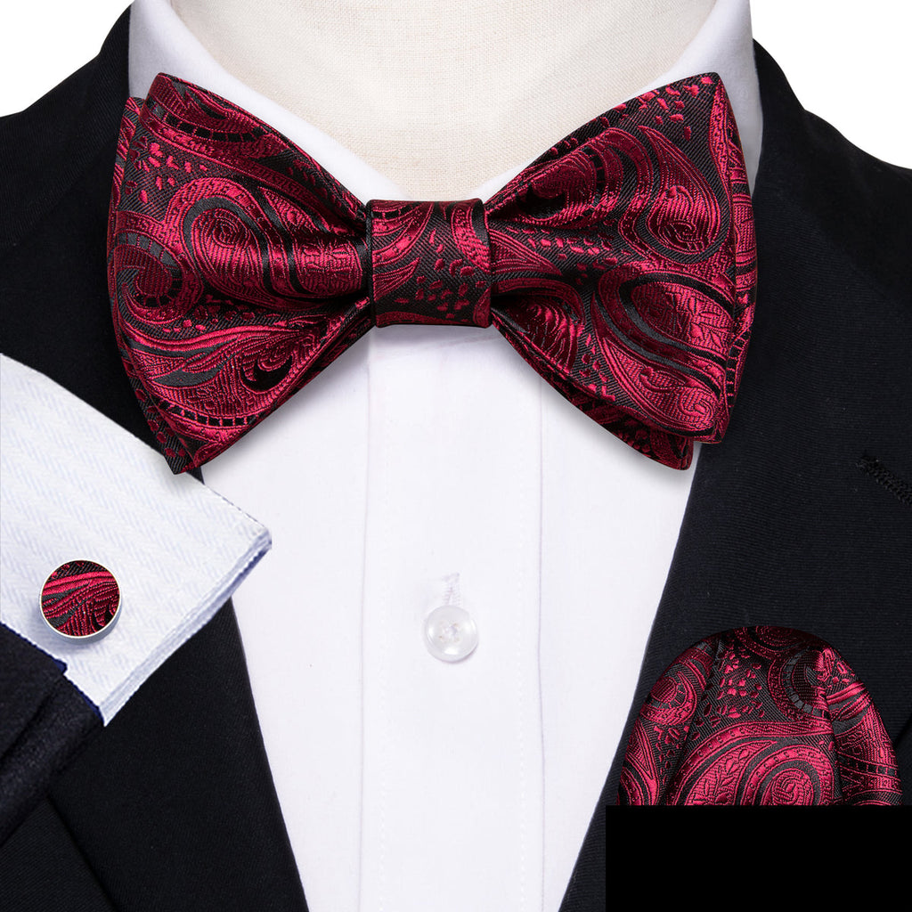 Black Red Paisley Bow Tie Set - GentCrest - View 3