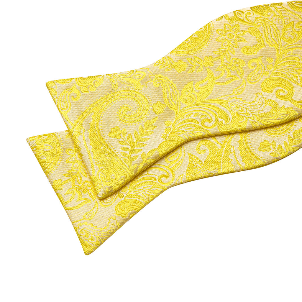 Light Yellow Paisley Bow Tie Set - GentCrest - View 6