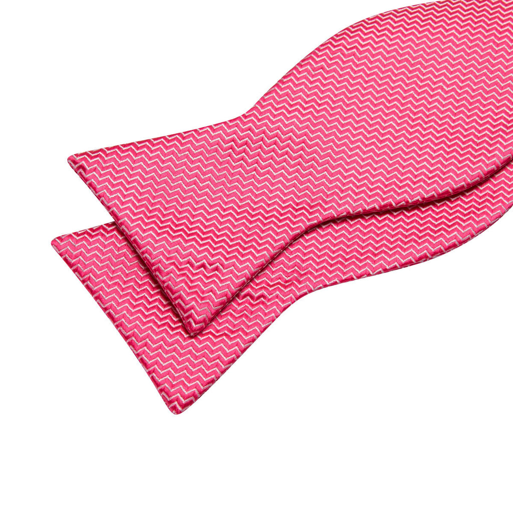 Pink Shock Striped Bow Tie Set - GentCrest - View 5