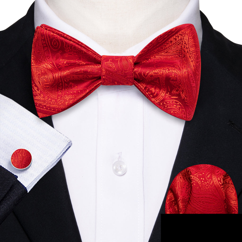 Strong Red Paisley Bow Tie Set - GentCrest - View 2