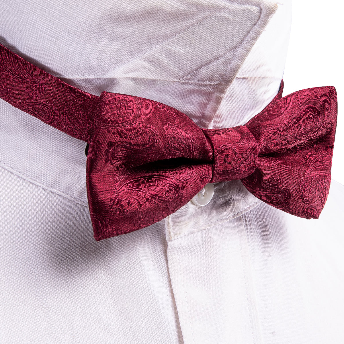 Red Paisley Silk Children Bow Tie Set - GentCrest - View 3