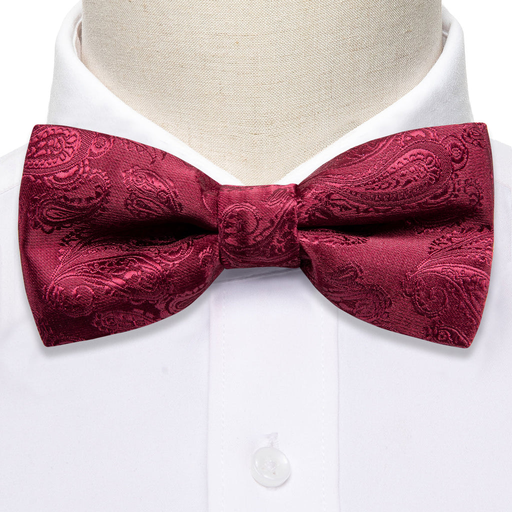 Red Paisley Silk Children Bow Tie Set - GentCrest - View 4