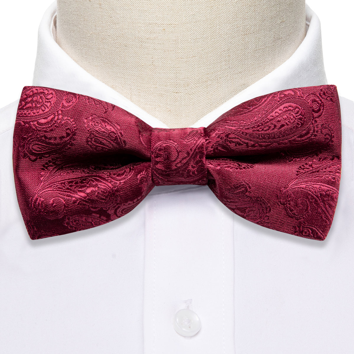 Red Paisley Silk Children Bow Tie Set - GentCrest - View 4
