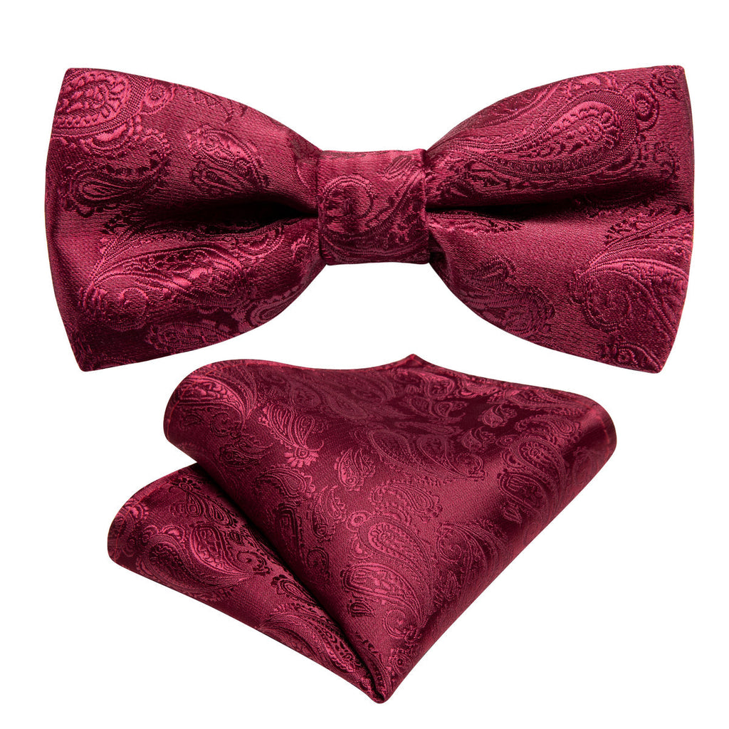 Red Paisley Silk Children Bow Tie Set - GentCrest - View 6