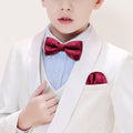 Red Paisley Silk Children Bow Tie Set - GentCrest