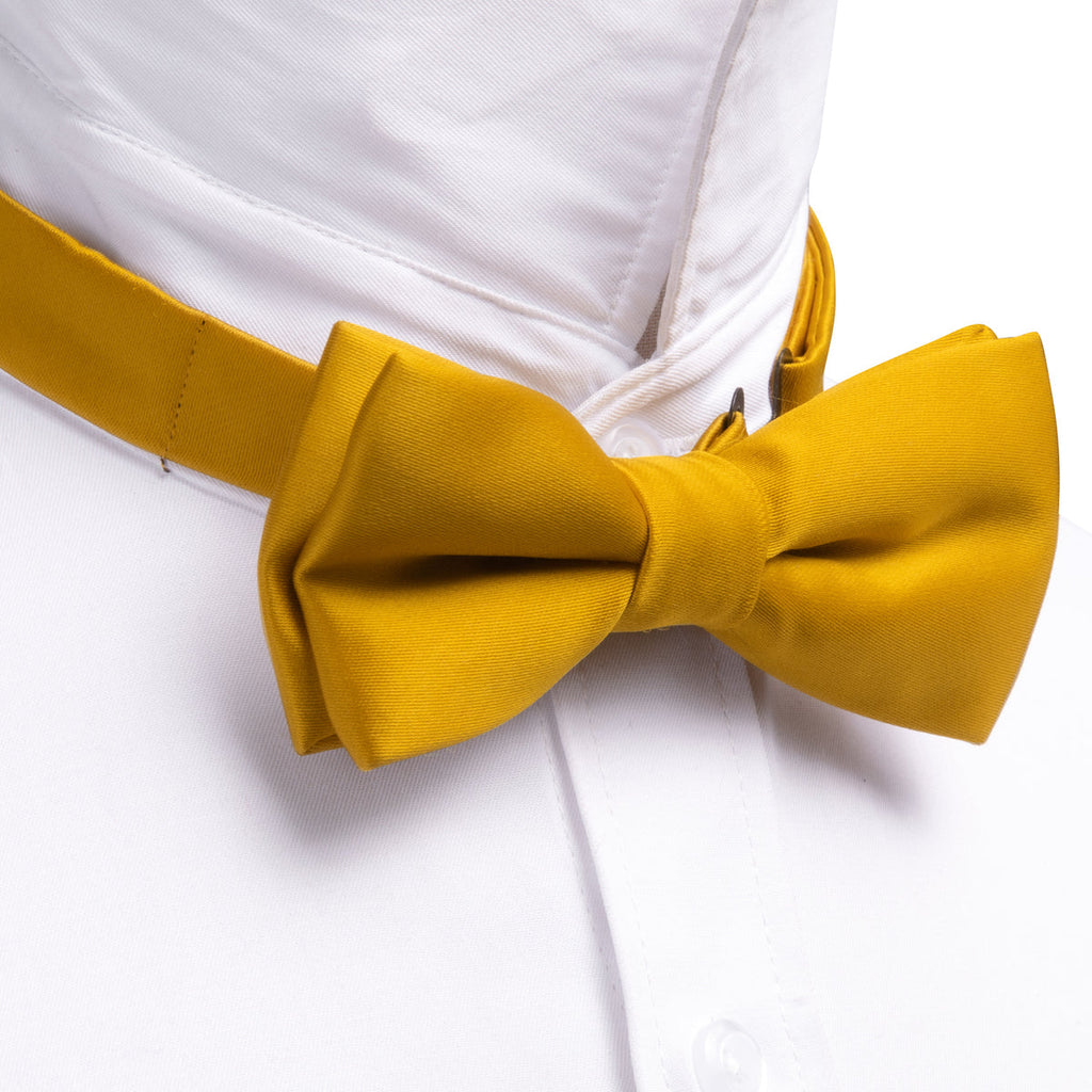 Golden Yellow Solid Kids Bow Tie Set - GentCrest - View 3