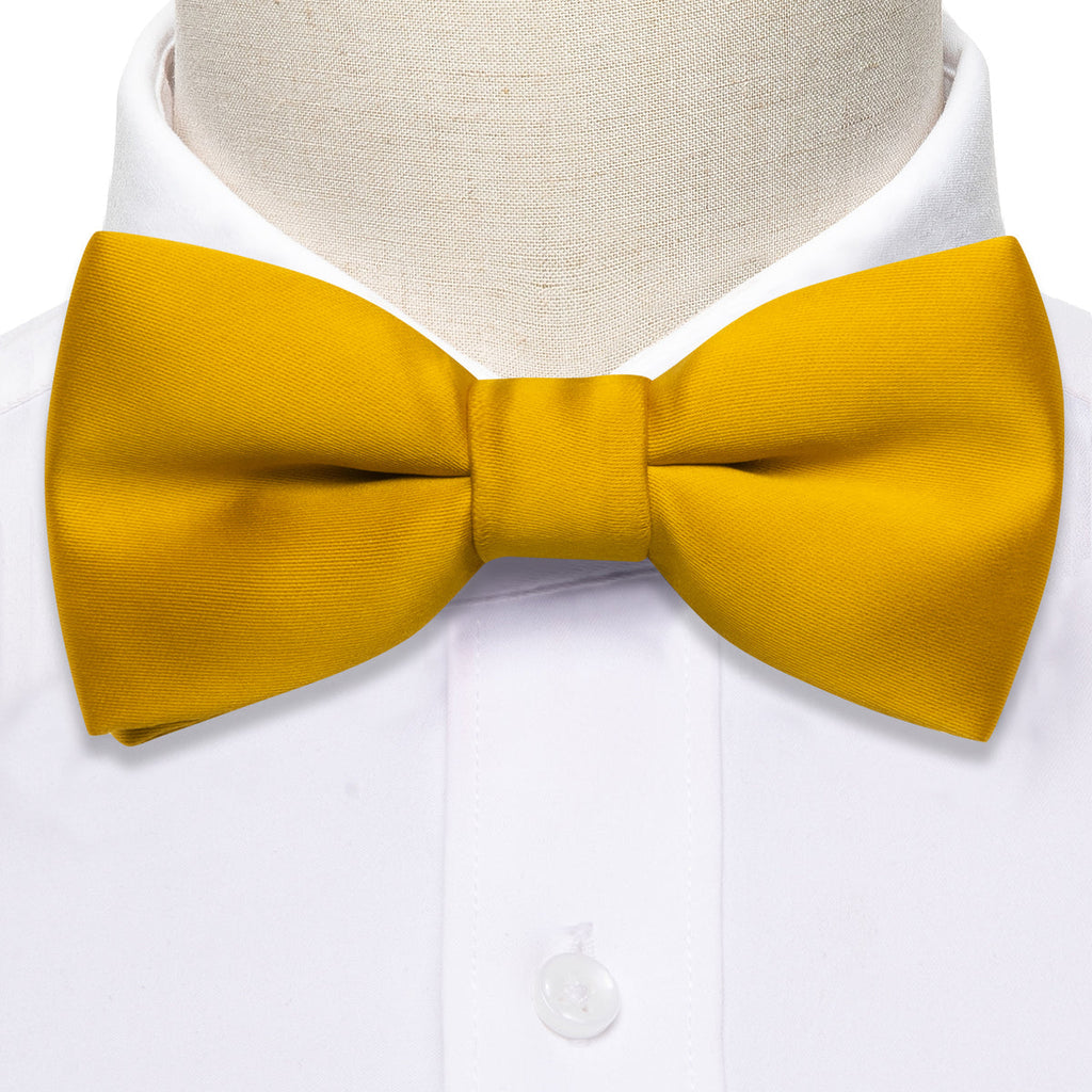Golden Yellow Solid Kids Bow Tie Set - GentCrest - View 4