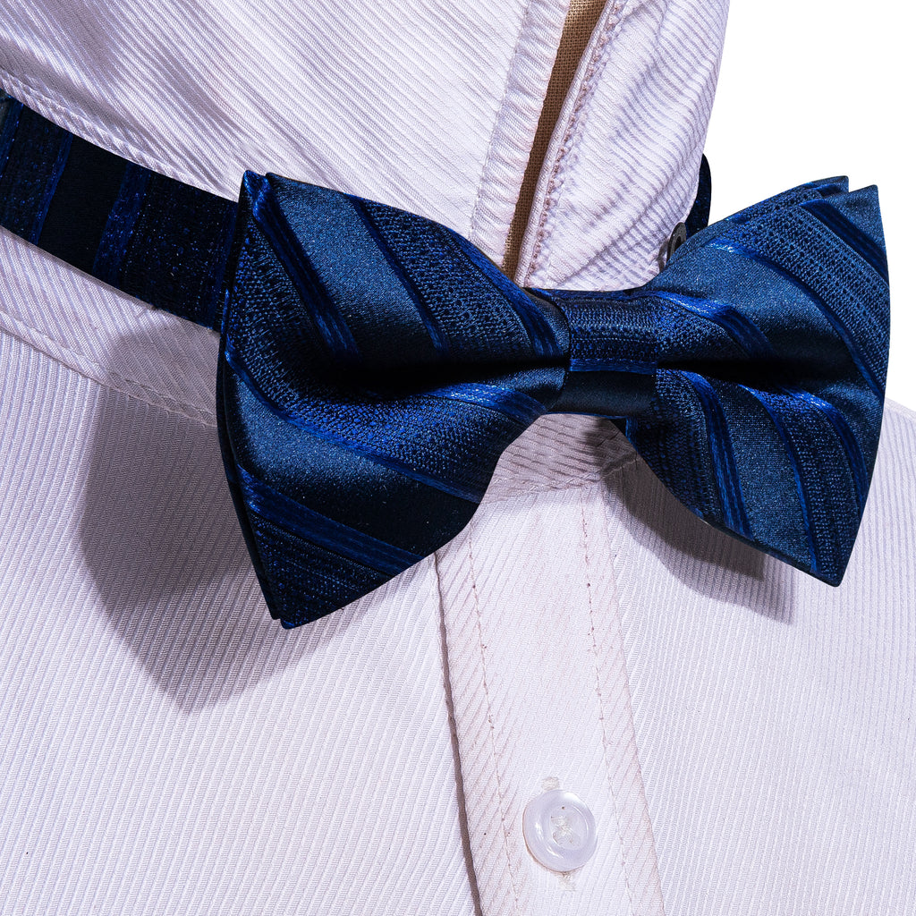 Blue Black Striped Bow Tie Set - GentCrest - View 2
