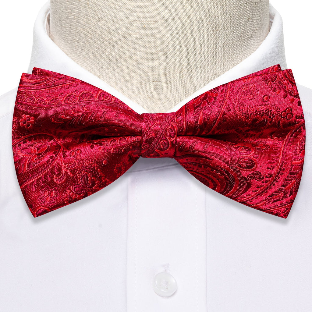 GentCrest Red Paisley Bowtie Set - Image 3