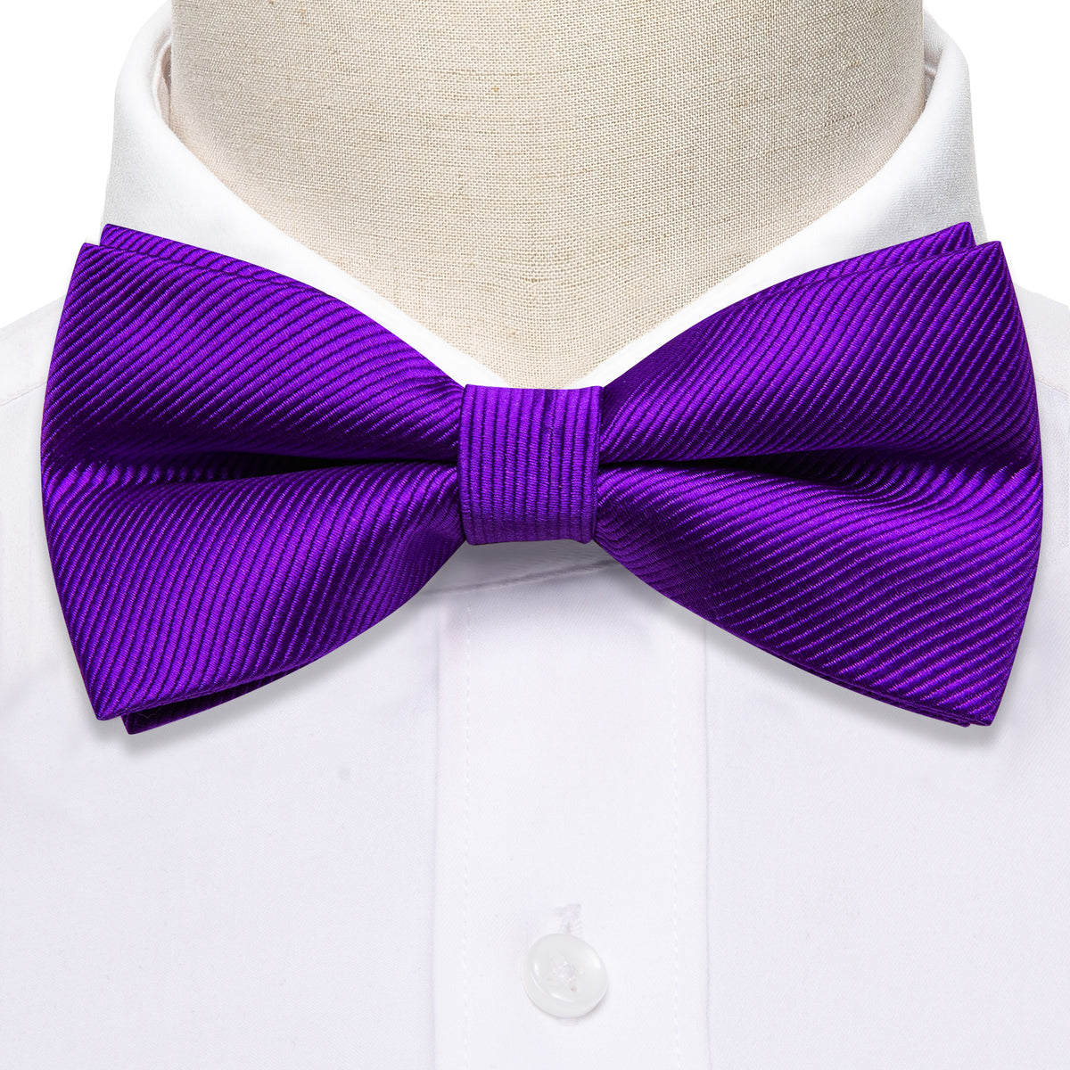 Hyacinth Solid Bow Tie Set - GentCrest - View 3