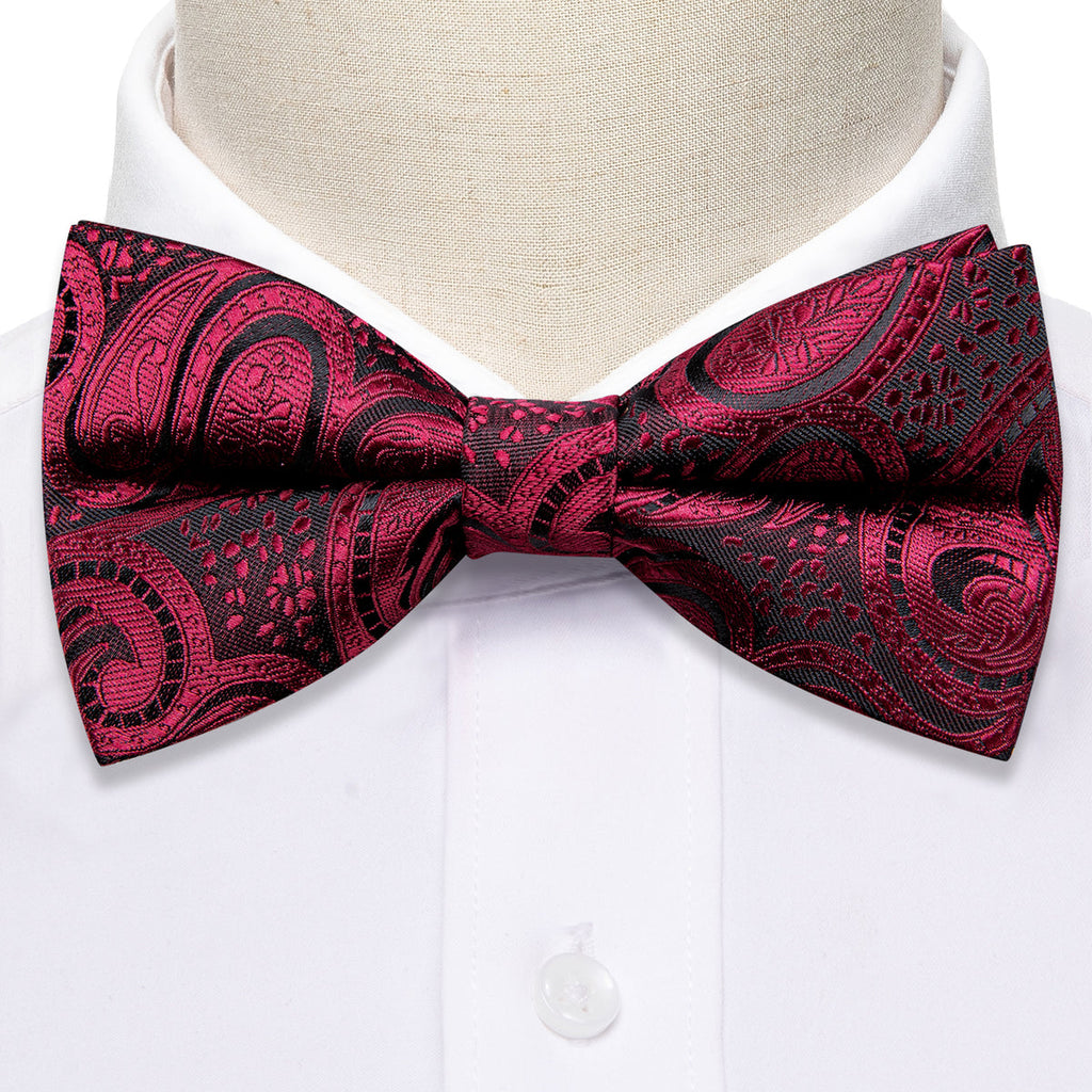 Black Red Paisley Beautiful Bow Tie Set - GentCrest - View 3